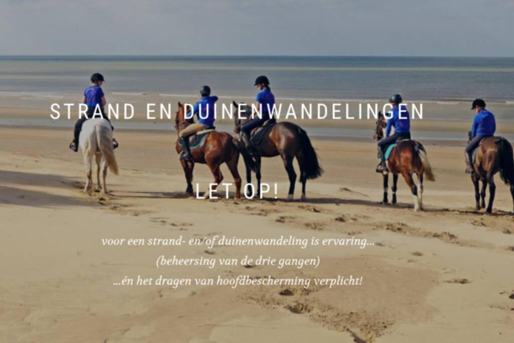 Villa Friedolin Heeft Zicht Op Zee En Duinen, In Duinenreservaat, Hot Tub Met Jacuzzi En Sauna Met Zeezichten Te Oostduinkerke Dış mekan fotoğraf